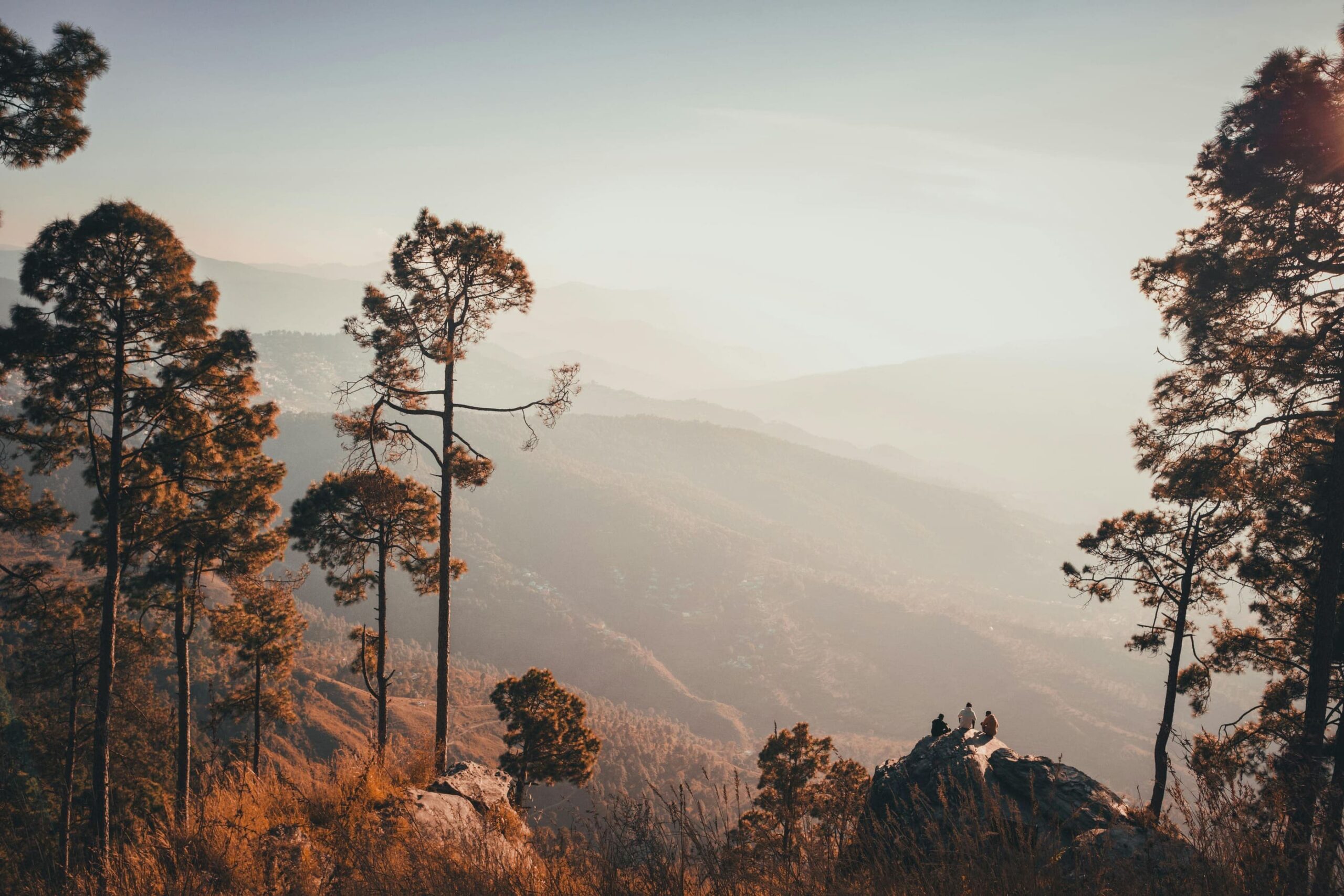 Онлайн-семинар "Школа и грантовая деятельность: новые горизонты развития"
