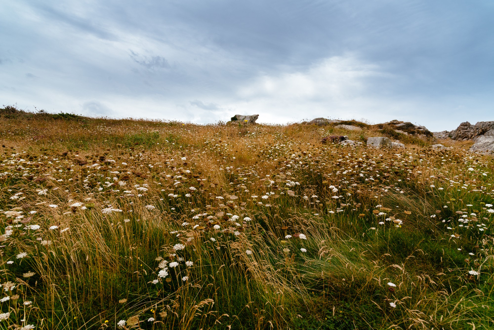 Юго-восточный