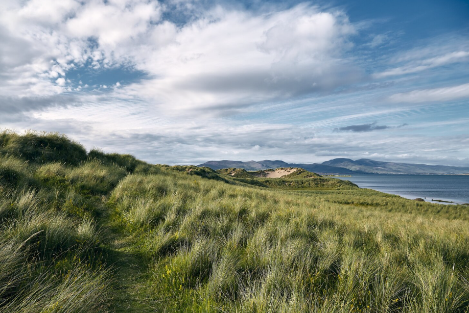 Юго-западный